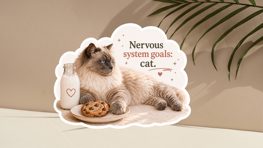 Cookie's Guide to Romanticising Life