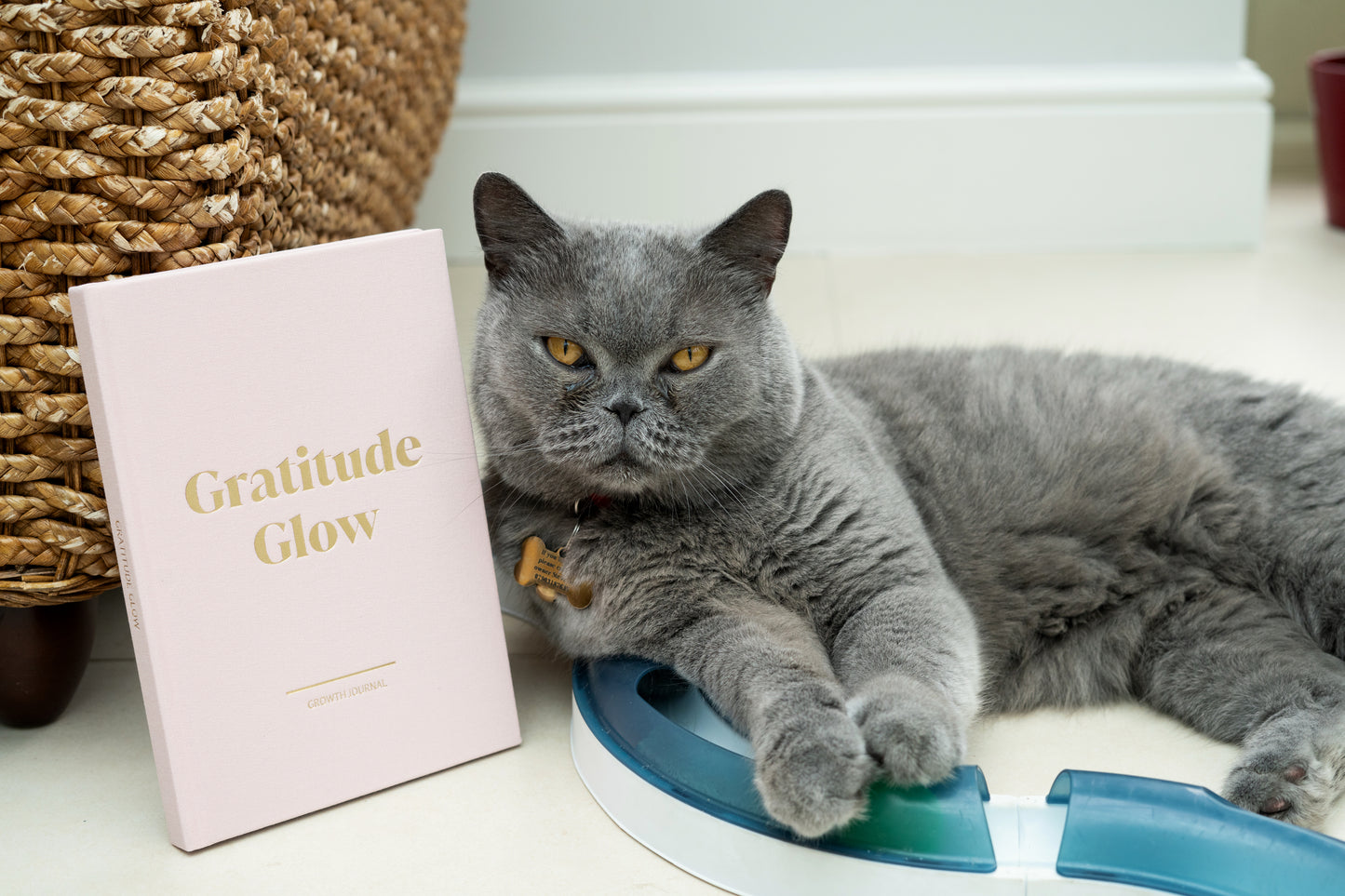 Gratitude Glow Journal
